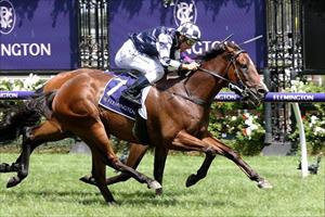 Bullet continues love affair with Flemington 2000m